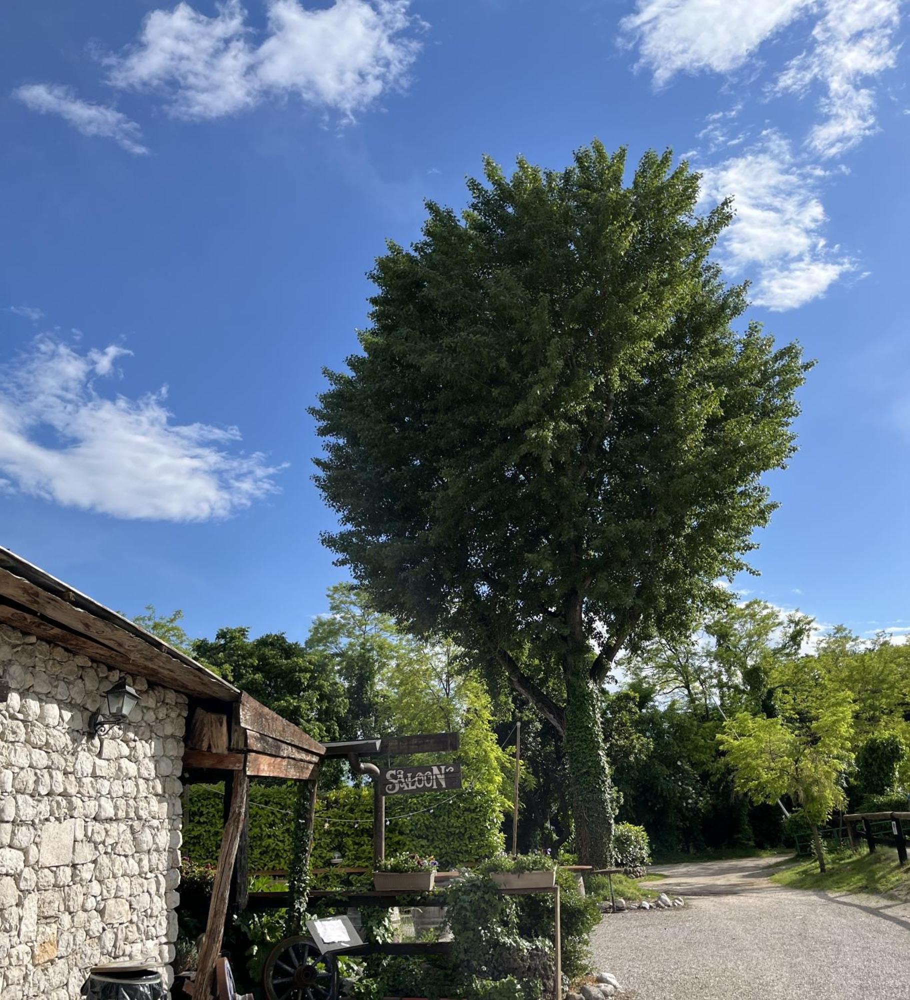 Agriturismo Al Ranch Castello d'Aviano Ngoại thất bức ảnh