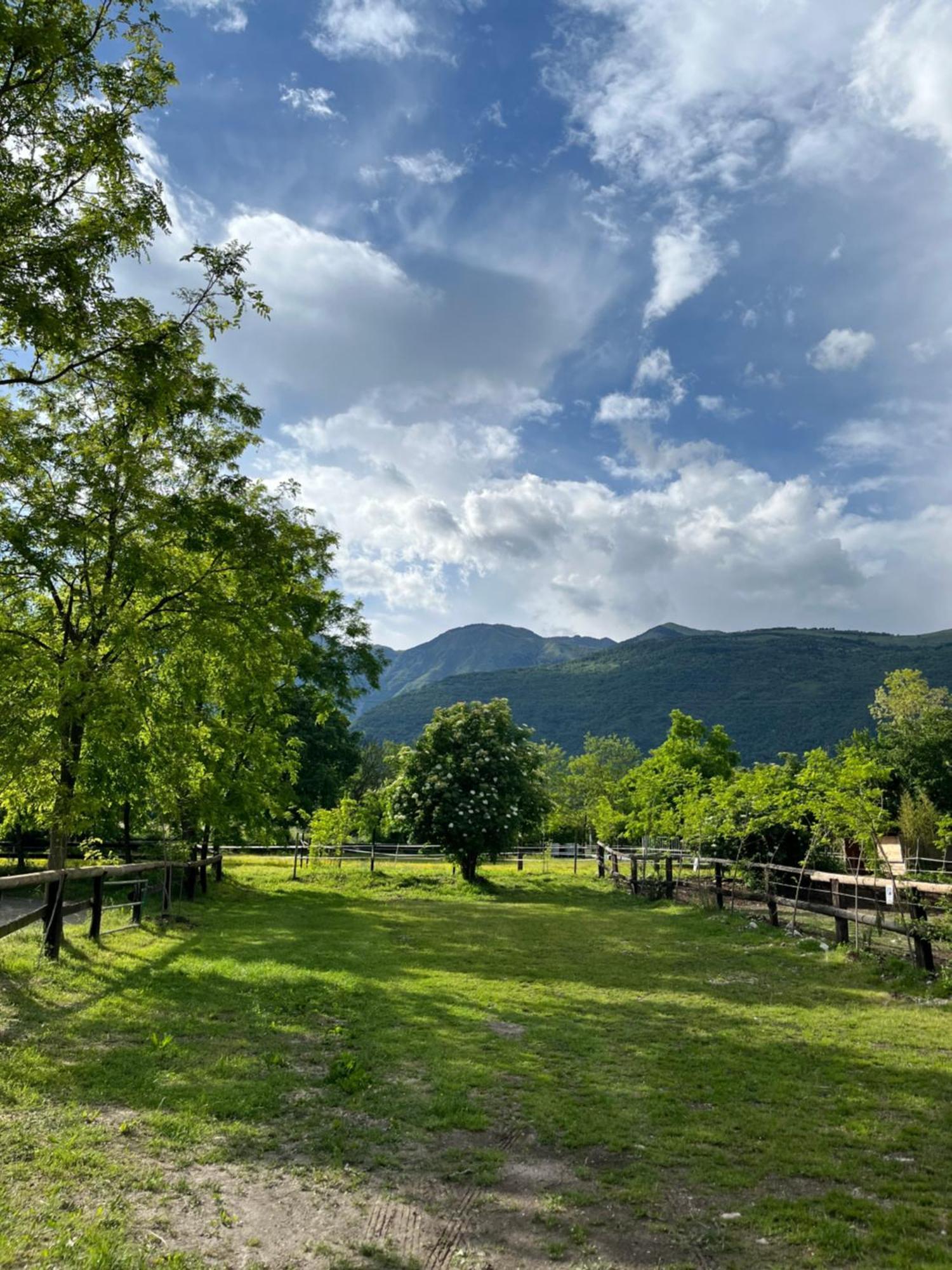 Agriturismo Al Ranch Castello d'Aviano Ngoại thất bức ảnh