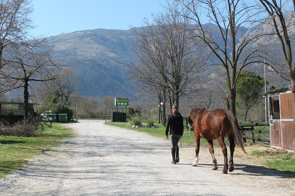Agriturismo Al Ranch Castello d'Aviano Ngoại thất bức ảnh